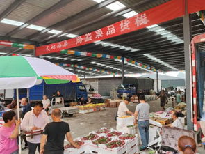 路南区再添购物新体验——假期水果零售好去处推荐