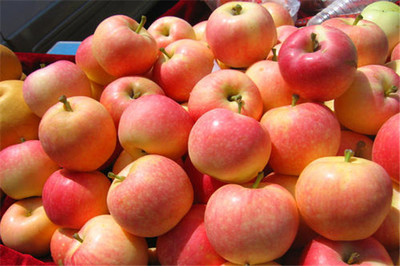 果多美加盟是否靠谱？剖析新鲜水果零售的机遇与挑战