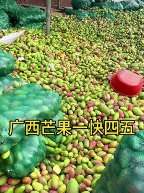 从枝头到舌尖 百色金煌芒，新鲜应季的优质农产品