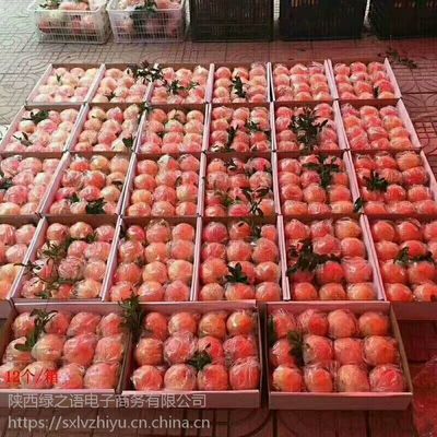 陕西临潼石榴 红心软籽，新鲜直达的美味与商机